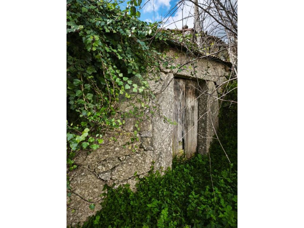 Cumpărare: Casă (4990)