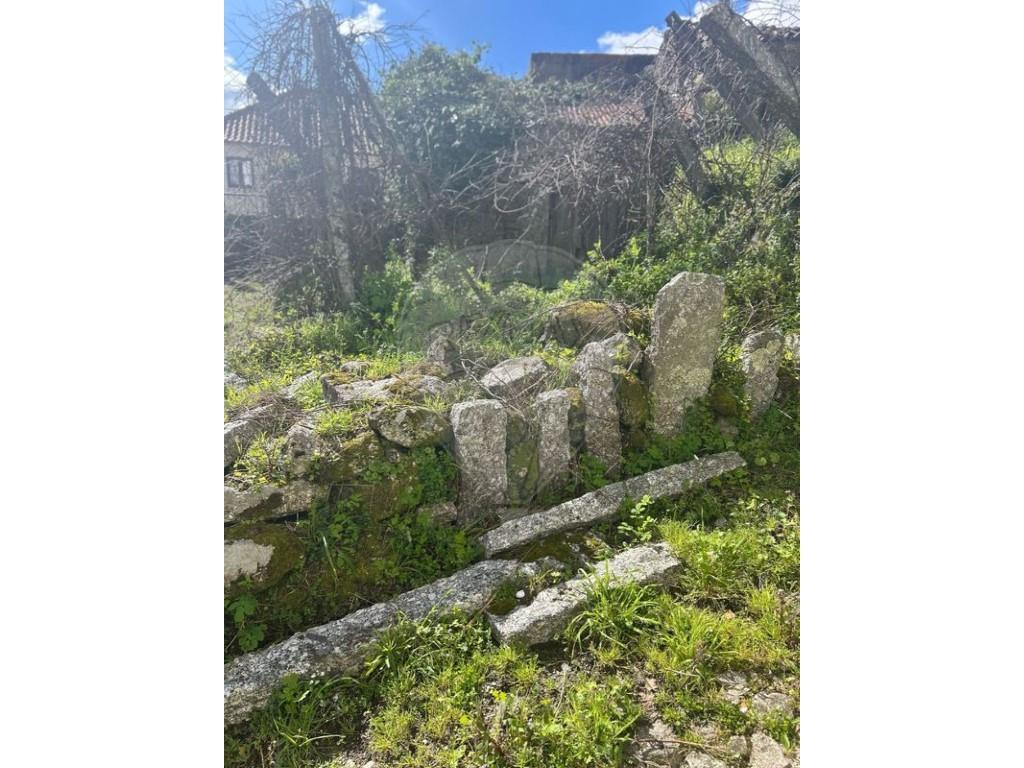 Cumpărare: Casă (4990)