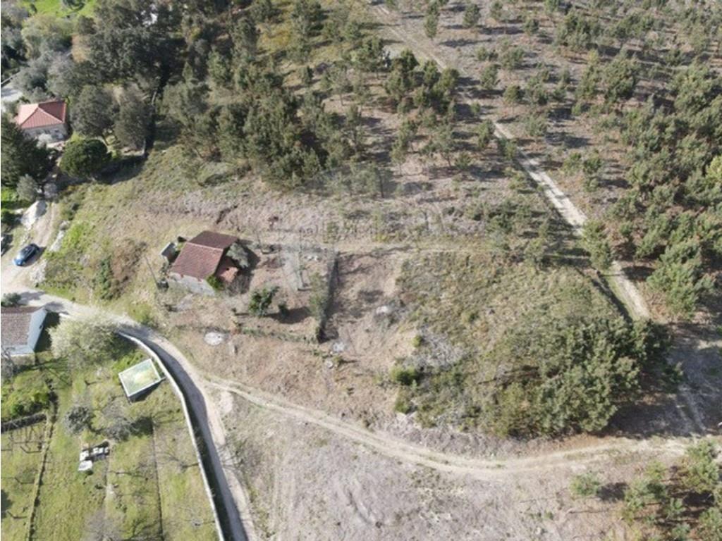 Cumpărare: Casă (4925)