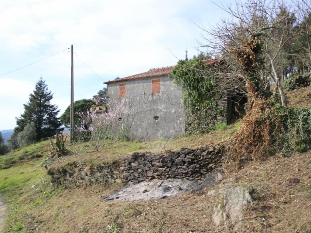 Cumpărare: Casă (4925)