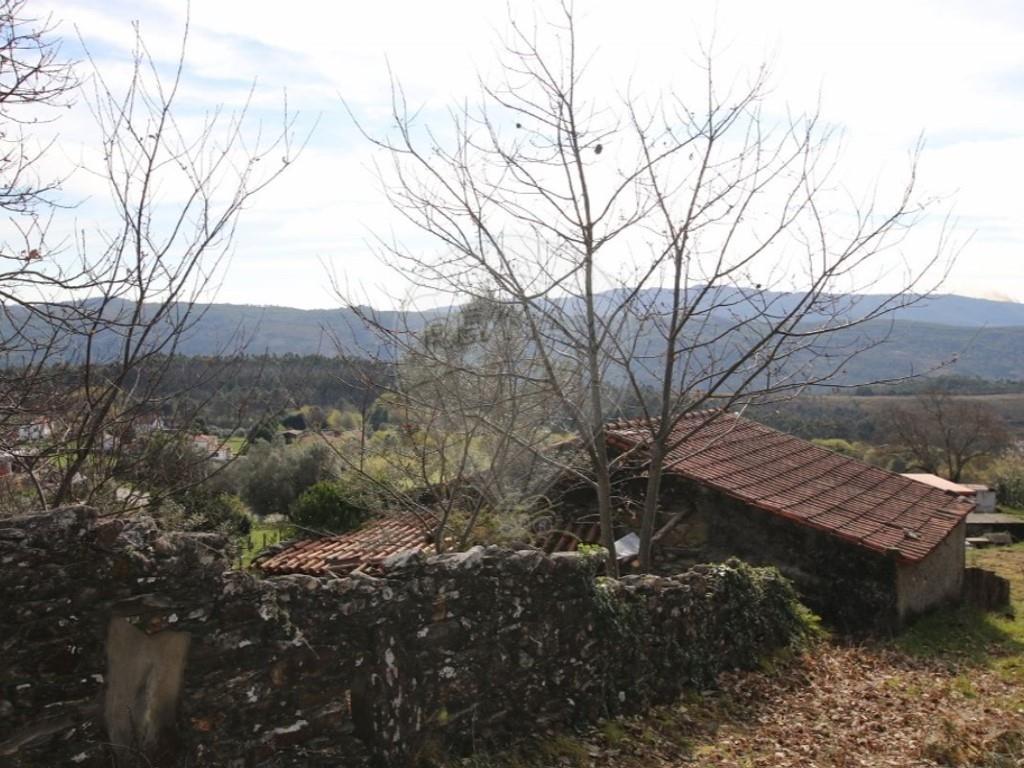 Cumpărare: Casă (4925)