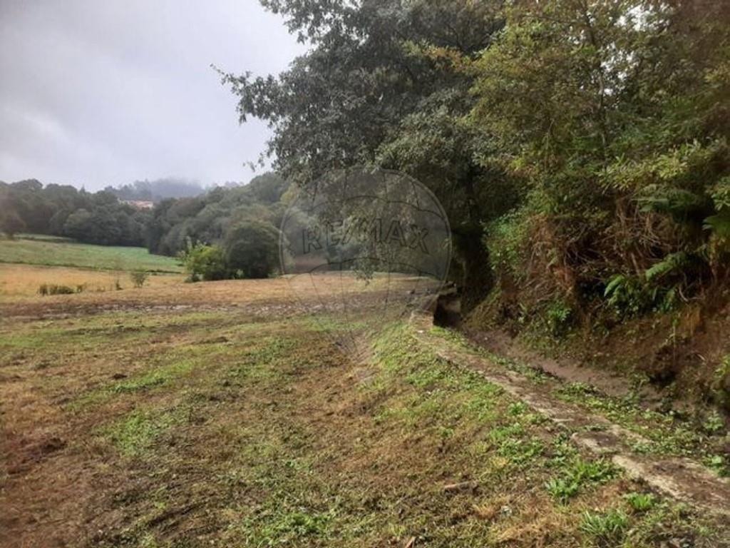 Cumpărare: Teren (4940)
