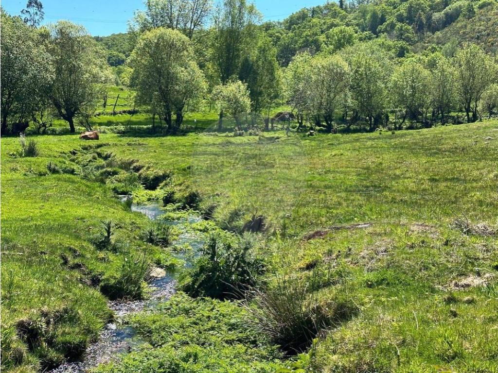 Cumpărare: Casă (4980)