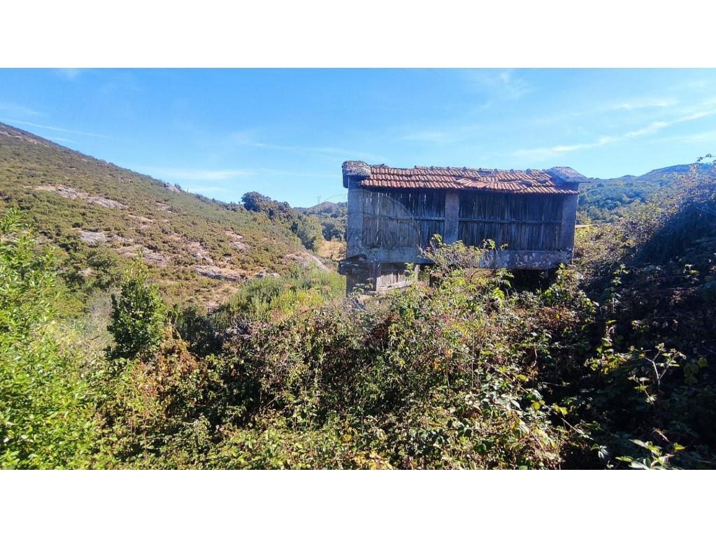 Cumpărare: Casă (4980)
