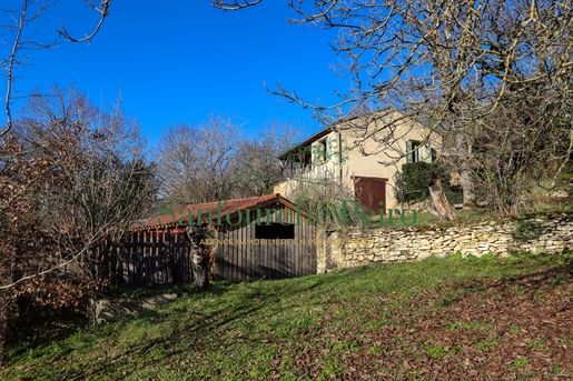30 km from Sarlat Real estate complex of two houses