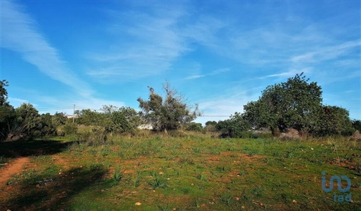 Landwirtschaftliche Flächen in Silves, Faro