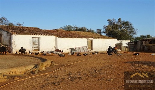 Fazenda algarvia em ruínas com 3,8 hectares à venda em Cebolar Portimao