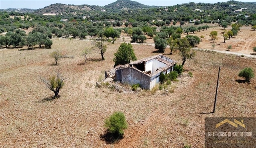 Ruine et terrain de 1 hectare près d’Estoi Algarve à vendre
