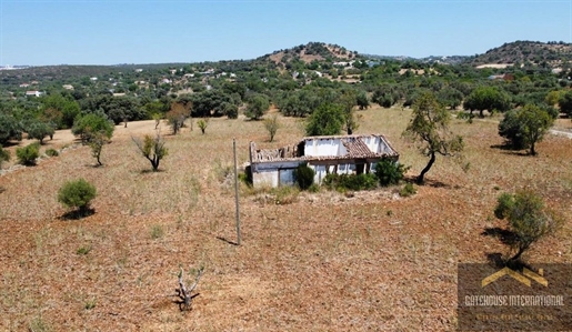 Ruine et terrain de 1 hectare près d’Estoi Algarve à vendre