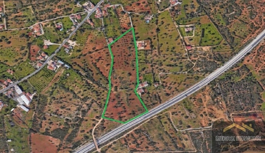 Terra de 5 hectares para construir uma vila de 250 m2 mais porão em Paderne Algarve