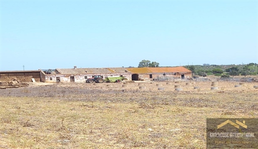 West Algarve Farm For Sale in Burgau
