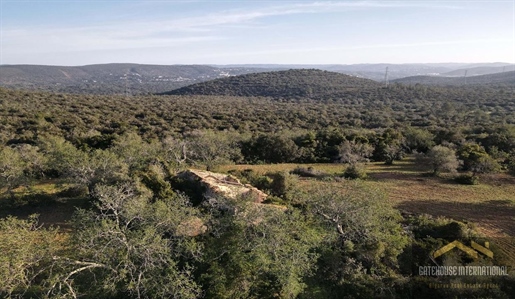 Perceel van 37 hectare met ruïne in Vale Telheiro Loule Algarve