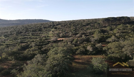 37 Hektar großes Grundstück mit Ruine in Vale Telheiro Loule Algarve