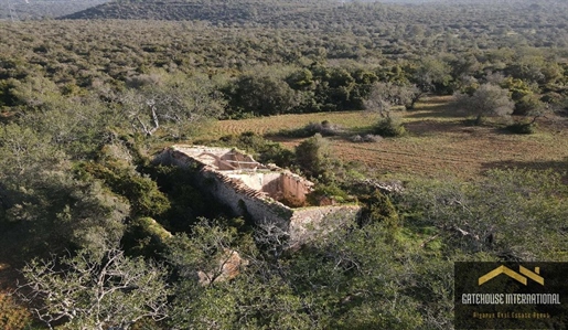 Terrain de 37 hectares avec ruine à Vale Telheiro Loule Algarve