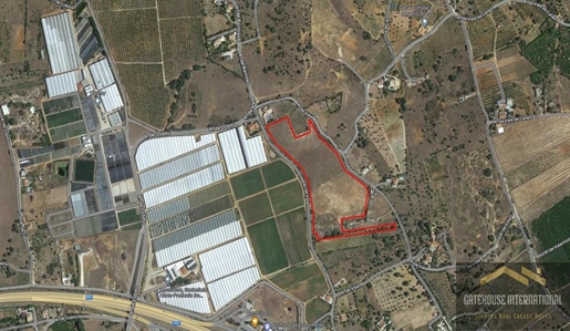 4 Hectares Of Land For Farming in Silves Algarve