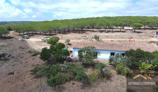 Maison de campagne de 3 chambres à l’ouest de l’Algarve avec 15 hectares près de Lagos