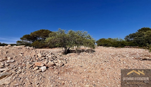 Terreno em Loulé para Desenvolvimento do Turismo Rural do Algarve