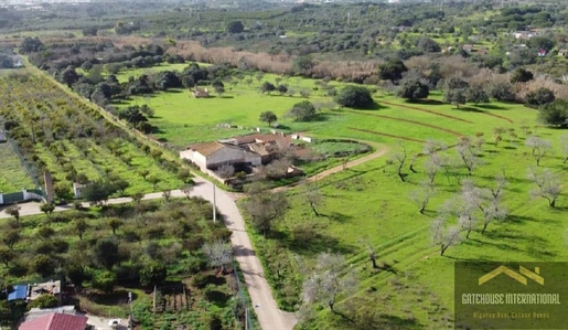 3 ruines à vendre à Boliqueime Algarve
