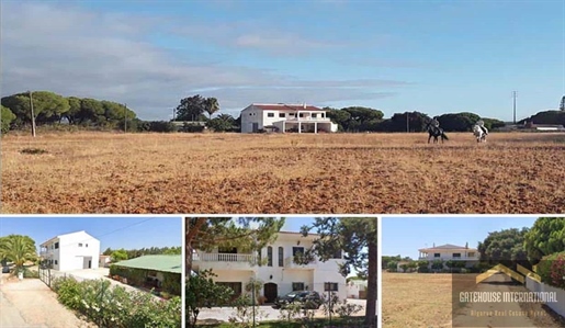 Villa de 4 chambres avec 2,75 hectares à Almancil Algarve