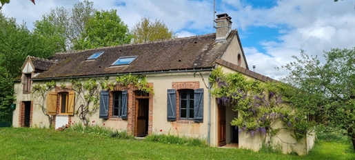 About 10 minutes from Toucy, beautiful farmhouse out of sight, quiet with the charm of the anci
