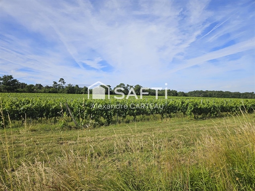 Advert picture