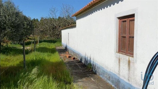 Terreno edile a Grândola, Setúbal