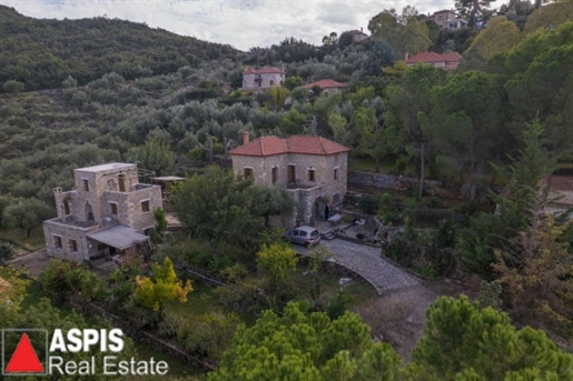 (À vendre) Captivante villa traditionnelle en pierre, 158 m², 3 chambres, dans l’idyllique Megali M