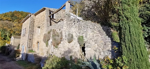 Village house with garden