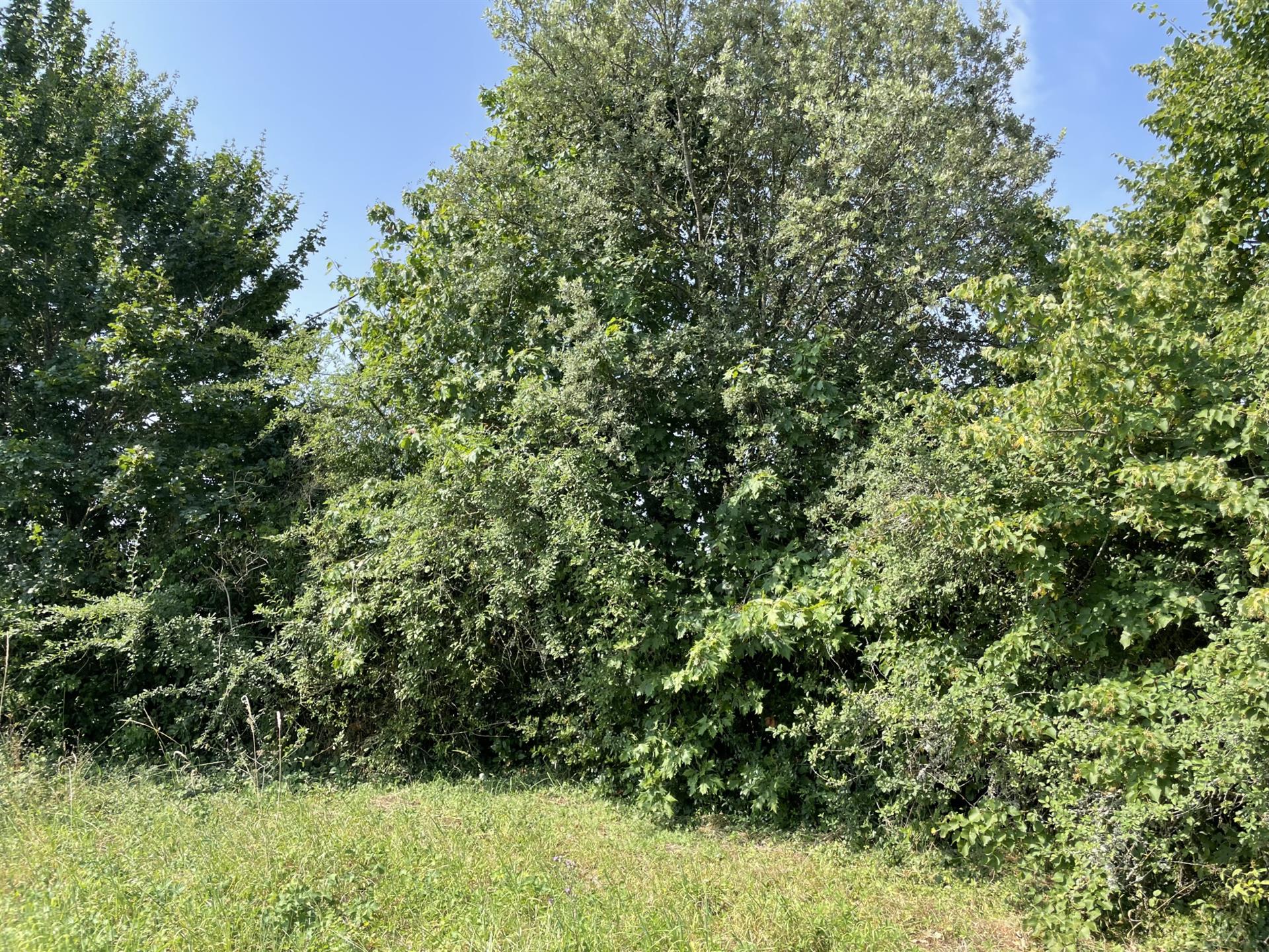Terrain constructible à La Romieu (Gers)