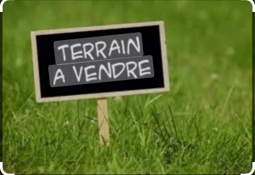 Advert picture