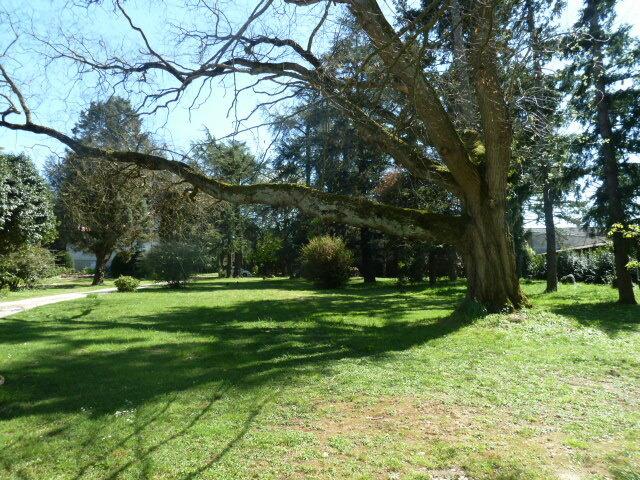 Compra: Casa (47500)