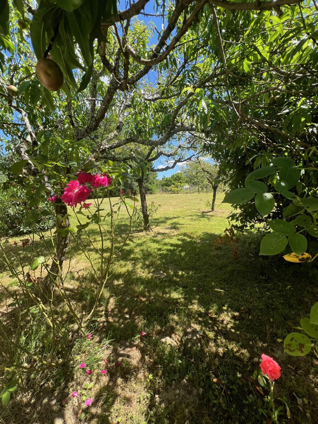 Compra: Casa (47330)