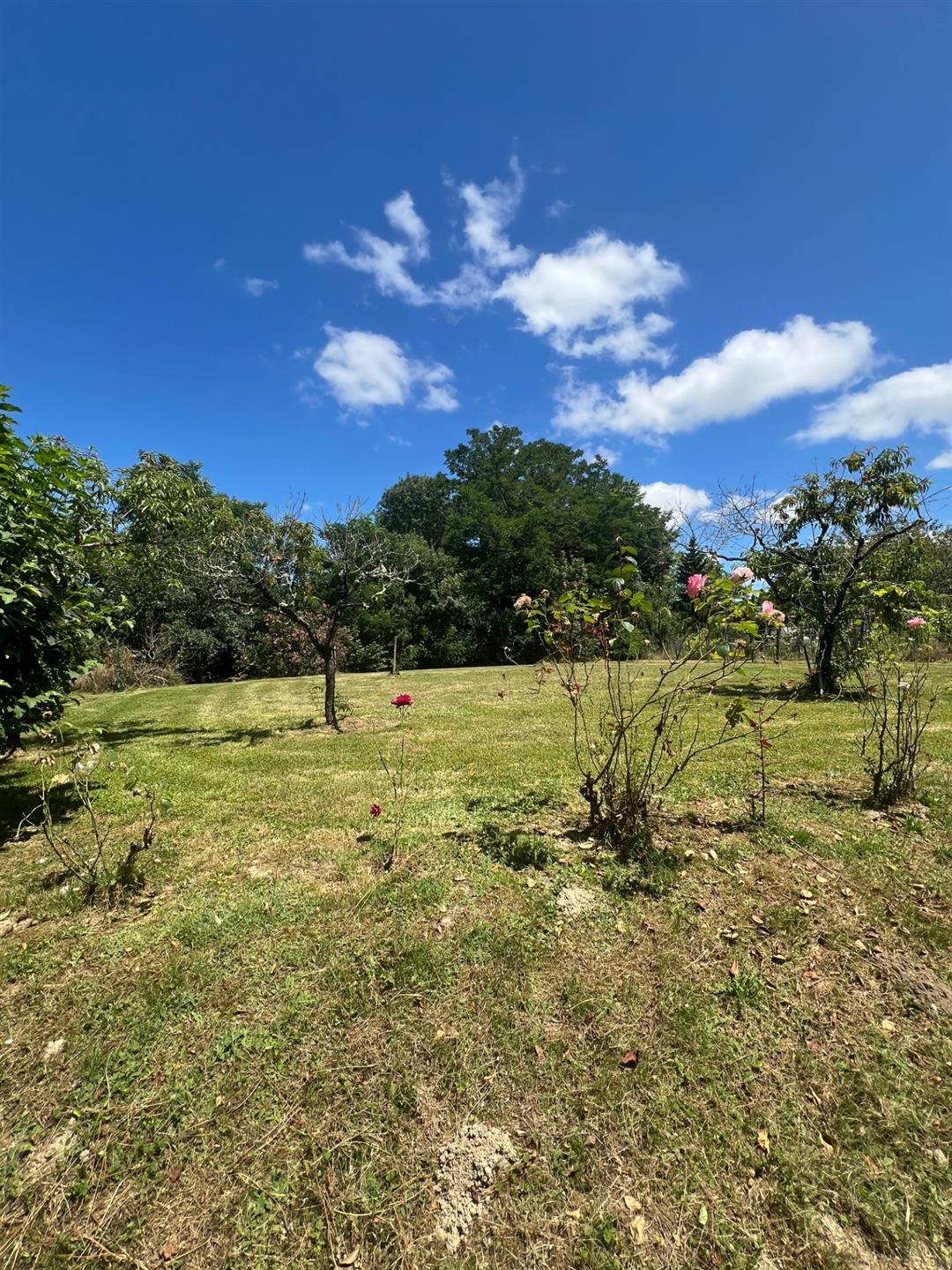 Compra: Casa (47330)