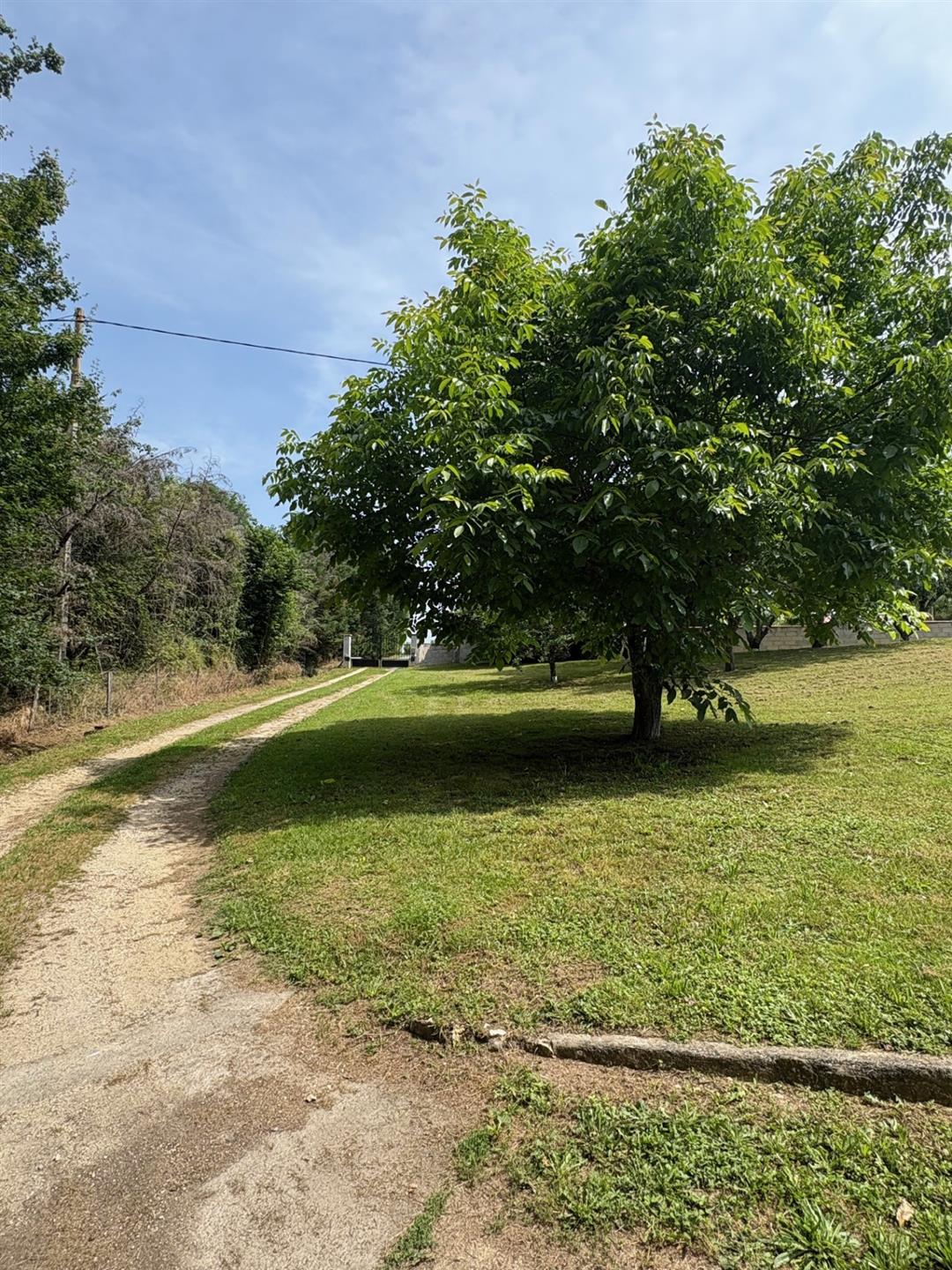 Compra: Casa (47500)