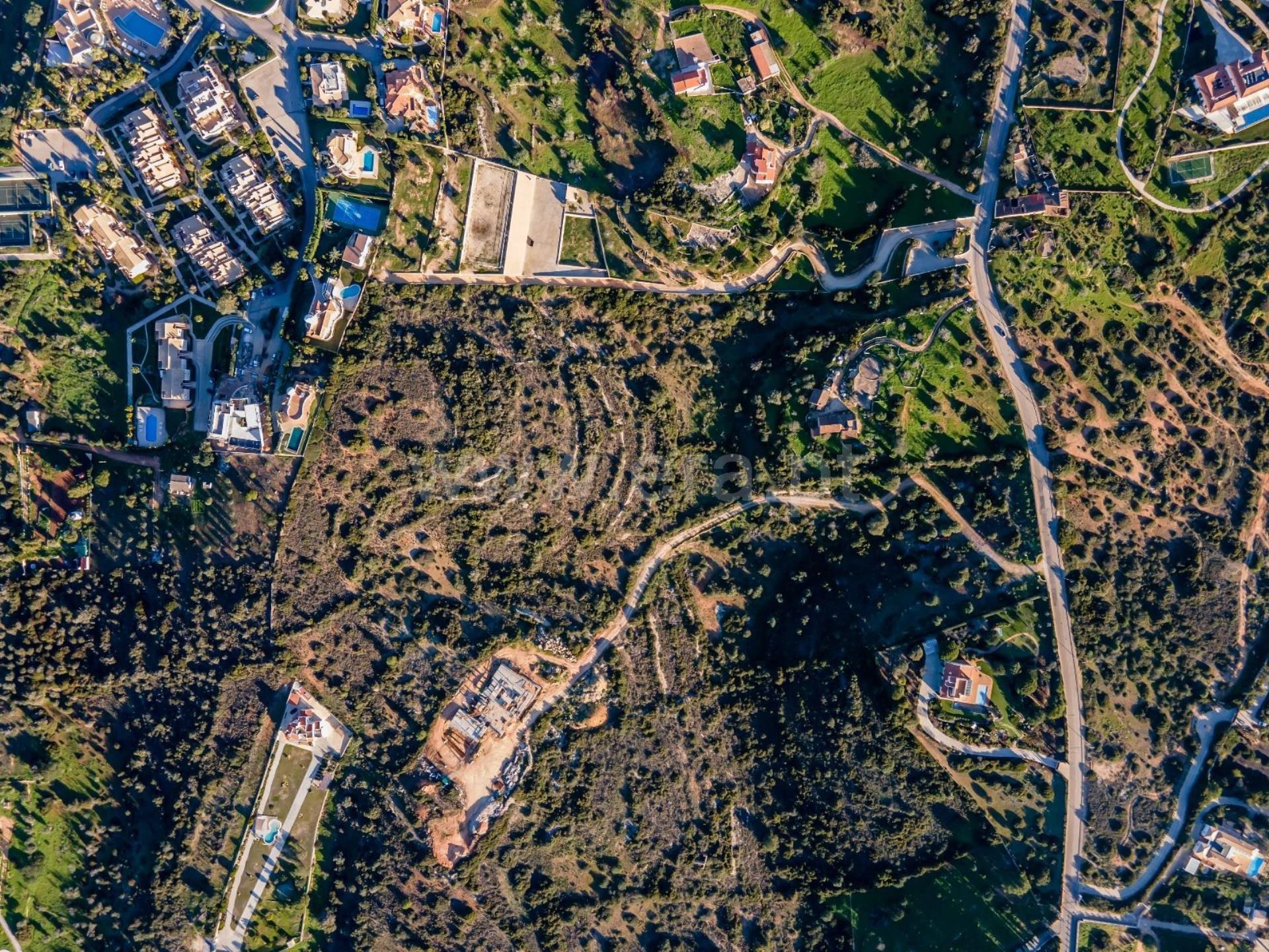 Terrain