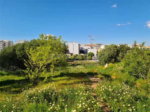 Lotes de terreno para construção de habitação