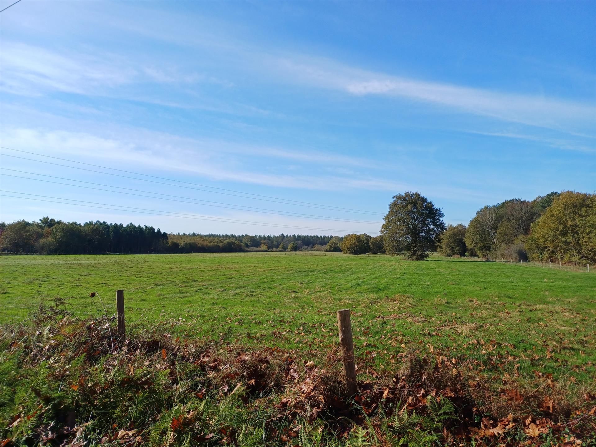 Property on 31 ha ideal horses and cottages 10 minutes from Montpon-Ménestérol (24)