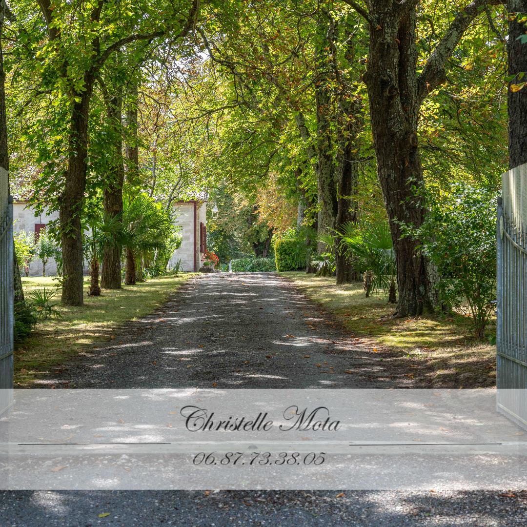 Magnificent property completely renovated with its wooded park!