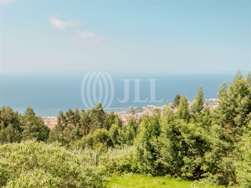 Quinta clássicaT8 com vista mar, no Funchal, Madeira