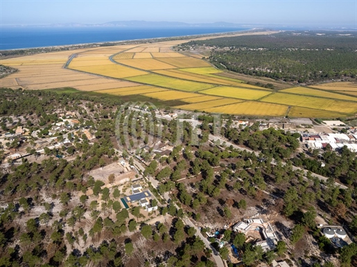Plot of land at the Comporta Retreat, in Carvalhal