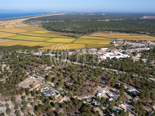 Plot of land at the Comporta Retreat, in Carvalhal