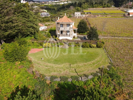 Quinta das Romeiras - Domaine viticole, Ilha da Madeira