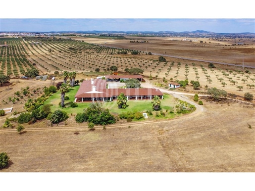 Domaine de 100 hectares, avec maison, à Serpa, Beja, Alentejo