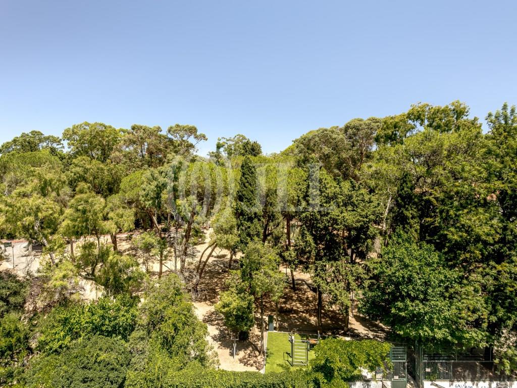 Compra: Apartamento (1500)