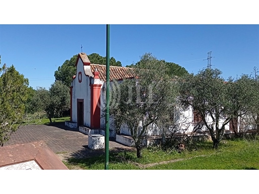 Domaine de 80 ha, à Silves, Algarve