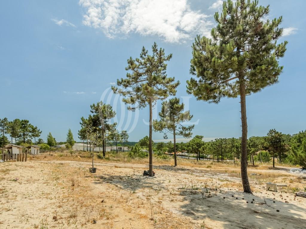 Plot 35, Casas da Colina