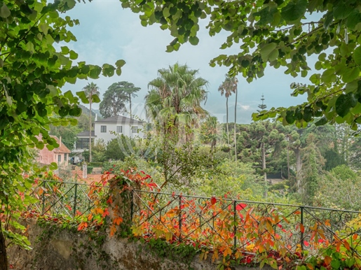 10 bedroom villa in the historical center of Sintra