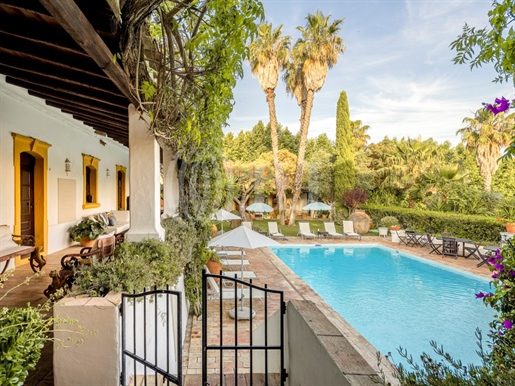 7 bedroom villa, with pool and garden, Boliqueime, Algarve