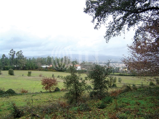 Quinta de S. Marinho de Tibães, em Braga