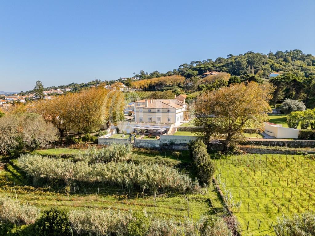 Property in Colares Sintra